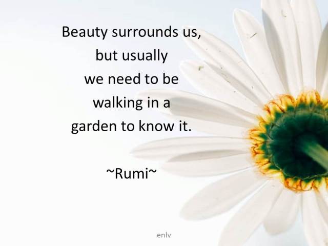 Quote from Rumi - Esther Neela Blog