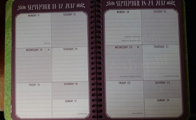 2018 Diary / Planner by Orange Circle Studio, Succulents - Esther Neela Blog